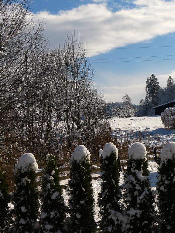 Ferienwohnung Kusternik Фельден-ам-Вертерзе Екстер'єр фото